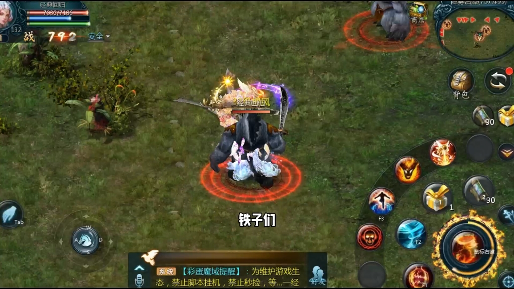 魔域私服幻兽属性如何选择最佳组合